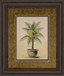 Potted Palm I - Framed Print Wall Art - Green