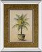 Potted Palm I - Mirror Framed Print Wall Art - Light Brown