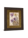 Sophistication Il By Nan - Framed Print Wall Art - Light Brown