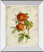 Roses On Newsprint Il By Lanie Loreth - Mirror Framed Print Wall Art - Beige