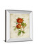 Roses On Newsprint Il By Lanie Loreth - Mirror Framed Print Wall Art - Beige