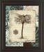 Secret Fern IV By Michael Marcon - Framed Print Wall Art - Beige