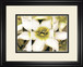 Star Of Bethlehem Triptych By Levine A. - White