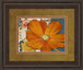 Summer In Paris Il By Lanie Loreth - Framed Print Wall Art - Orange