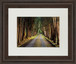 Tree Tunnel By Michael Tunnel And Mossy Oak Native Living - Framed Print Wall Art - Green