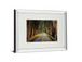 Tree Tunnel By Michael Tunnel And Mossy Oak Native Living - Mirror Framed Print Wall Art - Green