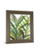 Tropical Greens Il By Rebecca Meyers - Framed Print Wall Art - Green