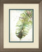 Watercolor Plantain Leaves Il By Patricia Pinto - Framed Print Wall Art - Green