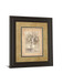 Bounty I By Vivian Flasch - Framed Print Wall Art - Light Brown