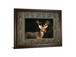 White Tail Buck By Tony Campbell Double Matted - Framed Print Wall Art - Black
