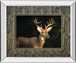 White Tail Buck By Tony Campbell Double Matted - Mirror Framed Print Wall Art - Black