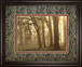 Woodland Sweep By Dennis Frate - Framed Print Wall Art - Light Brown