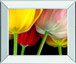 Sunshine Tulips By Frank, A. - Mirror Framed Print Wall Art - Yellow