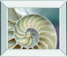 Nautilus By Levine, A. - Mirror Framed Print Wall Art - Beige