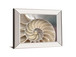 Nautilus By Levine, A. - Mirror Framed Print Wall Art - Beige