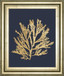 Pacific Sea Mosses I Indigo By Wild Apple Portfolio - Framed Print Wall Art - Dark Gray