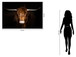 Tempered Glass With Foil Highland Cow on Black - Dark Brown
