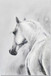 32x47 Hand Painted Textured Canvas - Pearl Silver