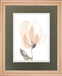 34x40 Blush Petals II By Jennifer Goldberger - Beige