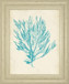 22x26 Aquamarine Seaweed IV By Vision Studio - Light Blue
