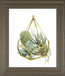 22x26 Wild Terrarium II By Grace Popp - Green