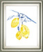 22x26 Watercolor Lemons II By Jennifer Goldberger - Yellow