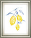 22x26 Watercolor Lemons I By Jennifer Goldberger - Yellow