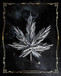 Carpe Cannabis By JG Studios (Framed) (Small) - Dark Gray