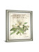 Magnolia De Printemps By Sue Schlabach - Beige