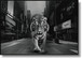 Glossy Painted Framed Canvas - Tiger Of The City - Dark Gray