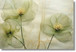 Temp Glass With Foil - Green Whispy Floral - Green