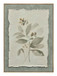 Muted Herb Study - 20" x 28" Framed Wall Art - Green