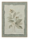 Muted Herb Study - 20" x 28" Framed Wall Art - Green