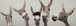 Whimsical Brows - 20" x 60" Framed Wall Art - Dark Brown