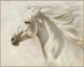 Ivory Breeze - 56" x 70" Framed Wall Art - Gray