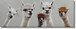Whimsical Llama Lineup - 20" x 60" Framed Wall Art - Gray