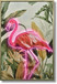 Electric Flamingo Oasis - 33" x 48" Framed Wall Art