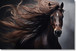 Majestic Mane Storm - 40" x 60" Framed Wall Art