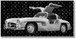 Gullwing Sparkle - 32" x 63" Framed Wall Art