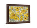Sunlit Petals - 28" x 34" Framed Wall Art - Yellow