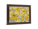 Sunlit Petals - 28" x 34" Framed Wall Art