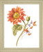 Sunlit Marigold - 28" x 34" Framed Wall Art - Orange