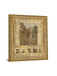 Golden Garden Relics - 28" x 34" Framed Wall Art - Gold