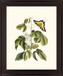 Butterfly Grove - 28" x 34" Framed Wall Art - Green