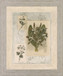 Vintage Botanical - 28" x 34" Framed Wall Art - Beige