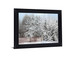 Silent Frosted Grove - 28" x 34" Framed Wall Art