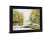 Sunlit Brook Serenity - 28" x 34" Framed Wall Art