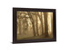 Misty Golden Grove - 28" x 34" Framed Wall Art - Light Brown