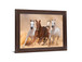 Desert Run - 28" x 34" Framed Wall Art