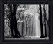 Silent Grove Shadows - 28" x 34" Framed Wall Art - Dark Gray